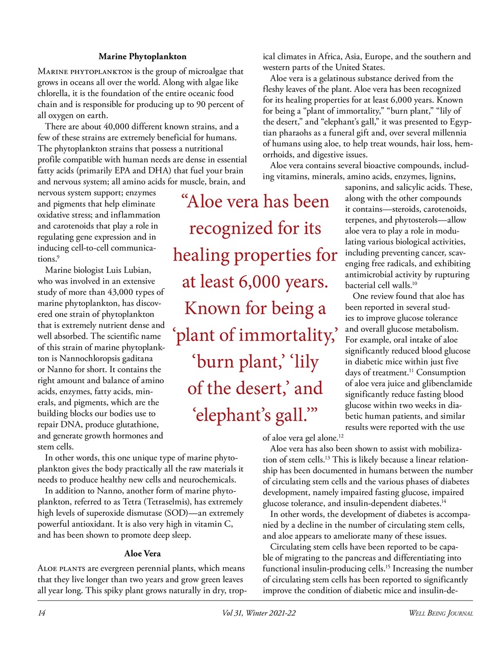 Well Being Journal Preview Pages