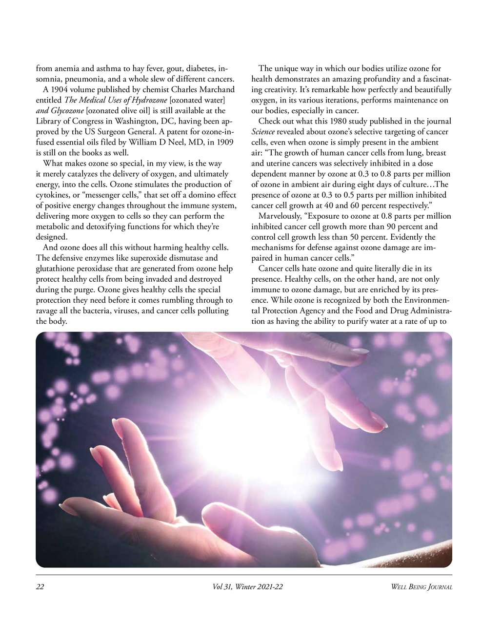 Well Being Journal Preview Pages