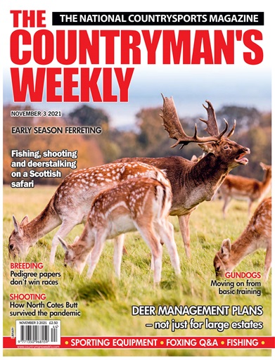 Countryman's Weekly issue 