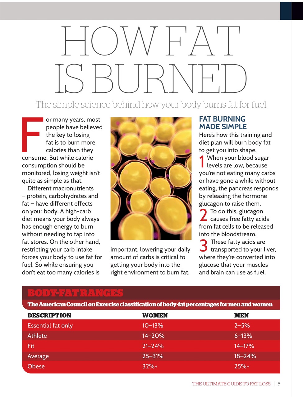 Men’s Fitness Guides Preview Pages