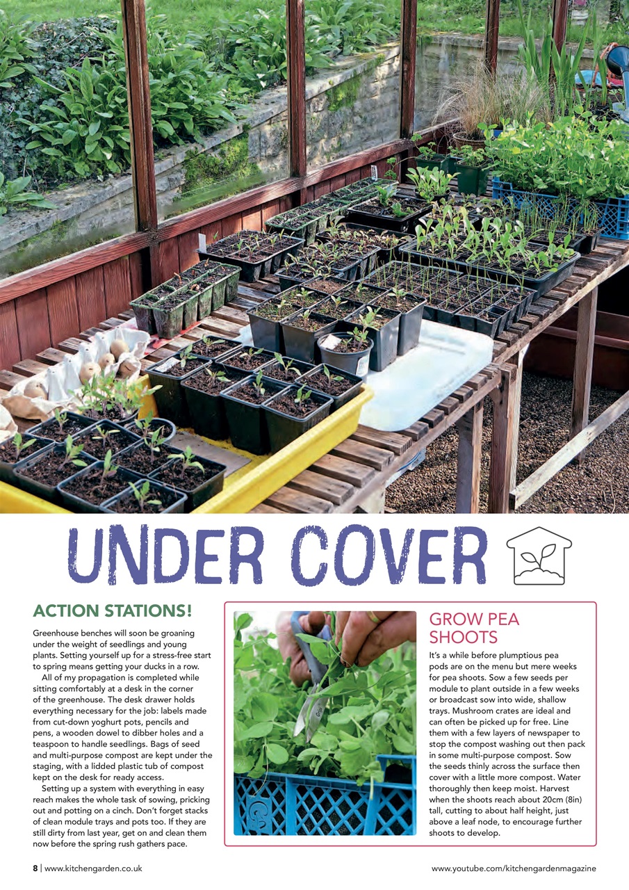 Kitchen Garden Magazine Preview Pages