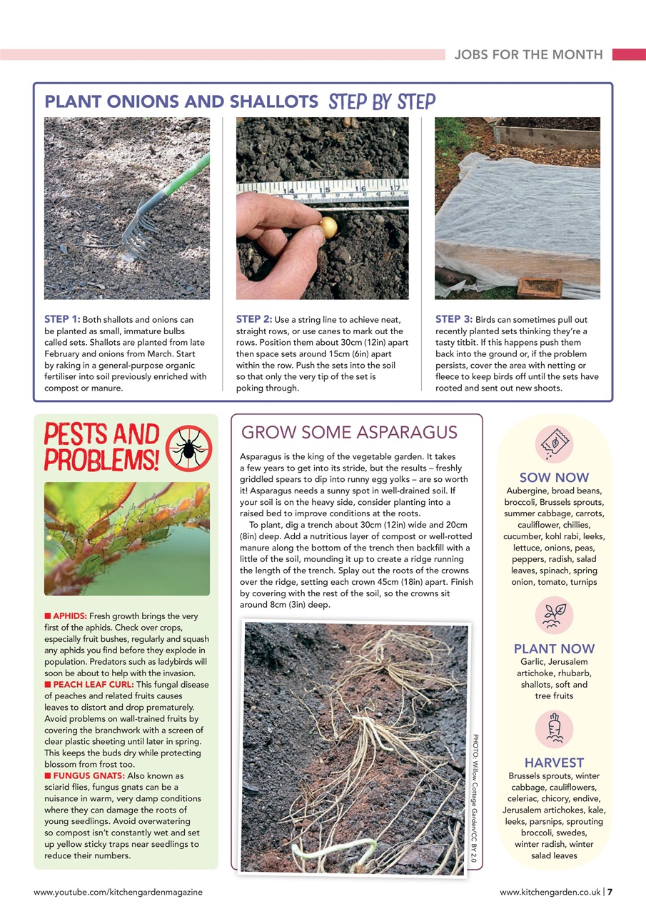 Kitchen Garden Magazine Preview Pages