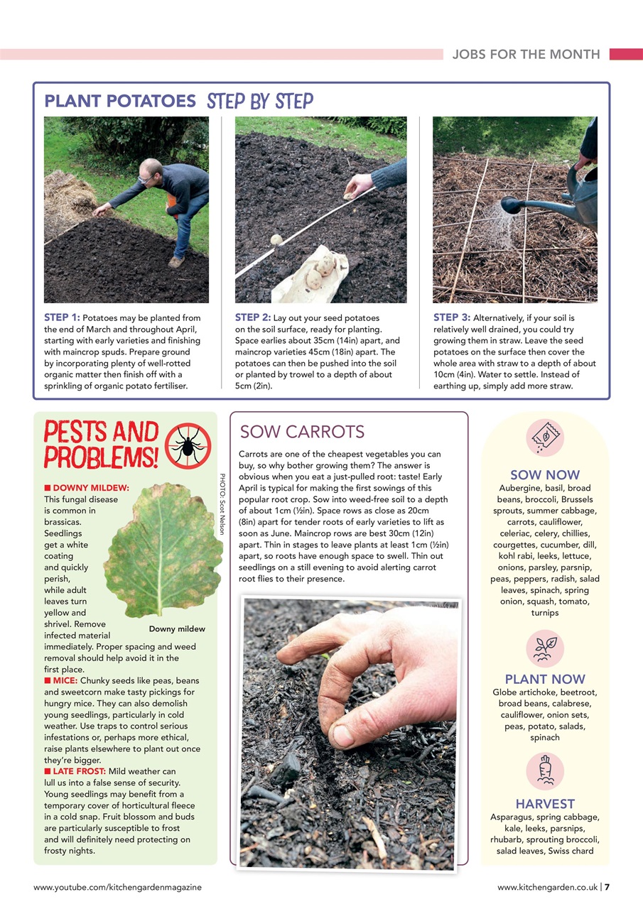Kitchen Garden Magazine Preview Pages