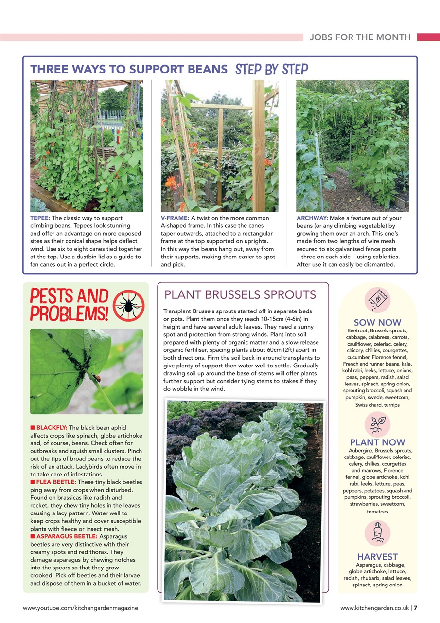 Kitchen Garden Magazine Preview Pages