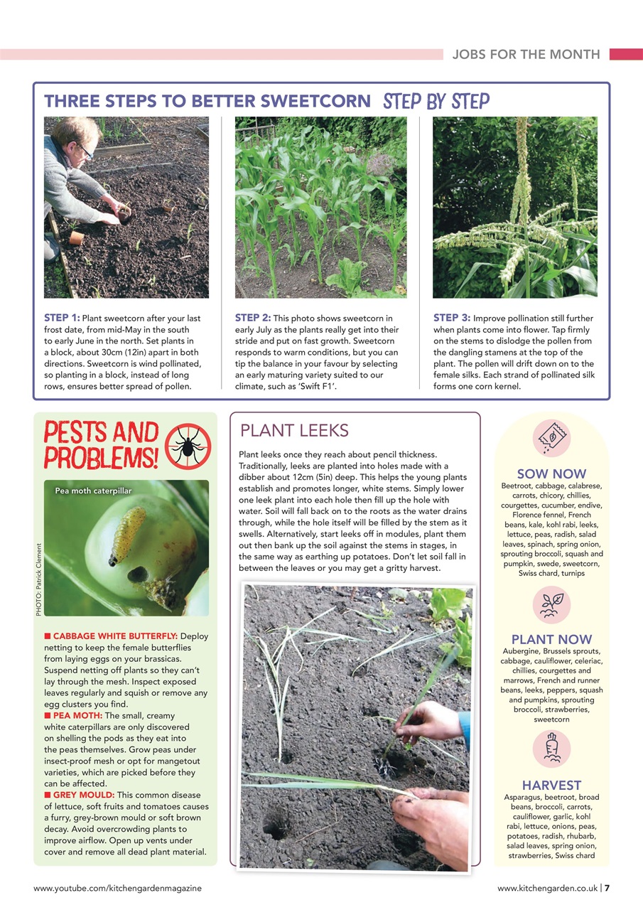 Kitchen Garden Magazine Preview Pages