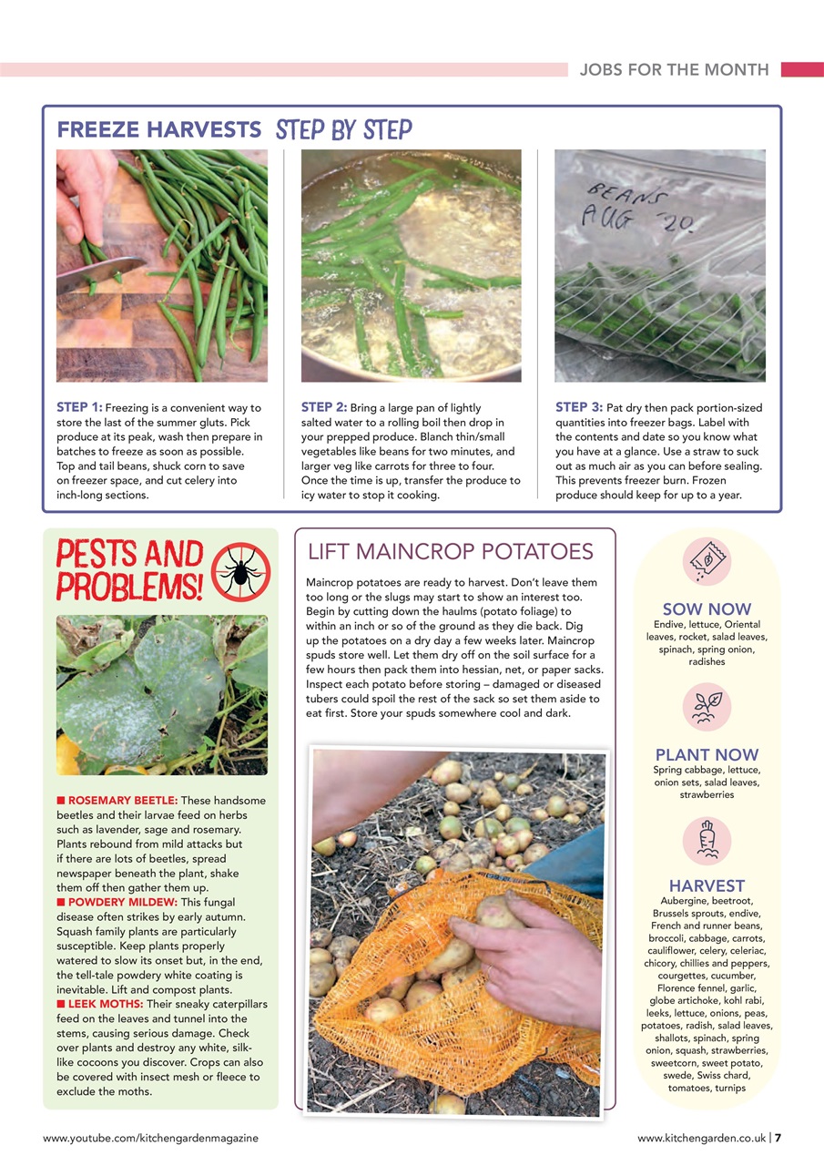 Kitchen Garden Magazine Preview Pages