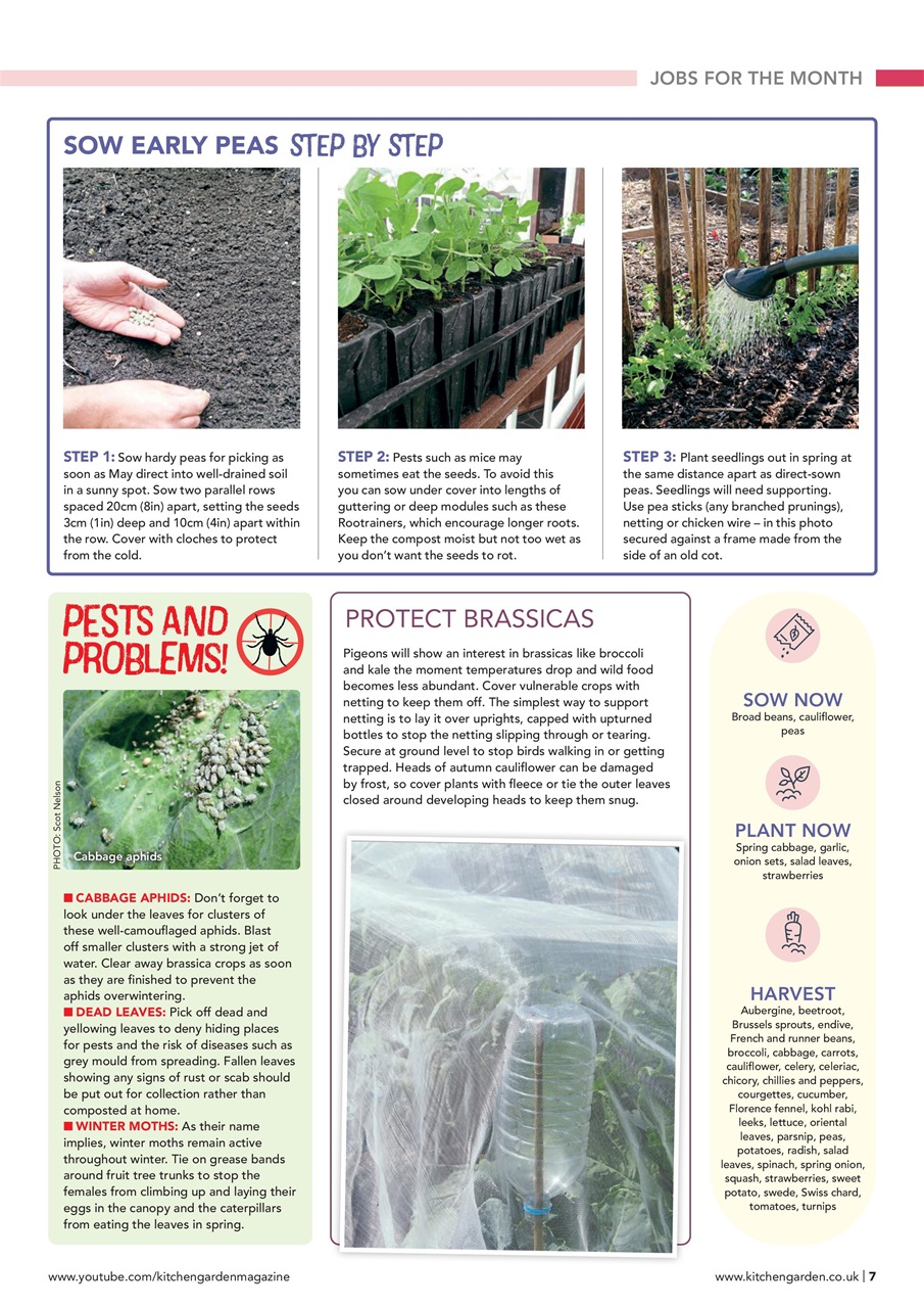 Kitchen Garden Magazine Preview Pages
