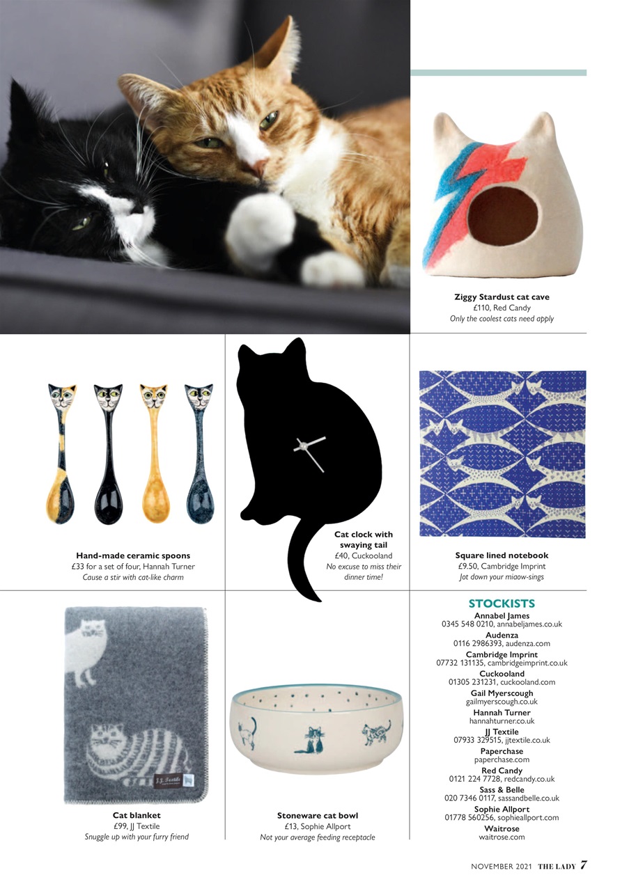 The Lady Preview Pages