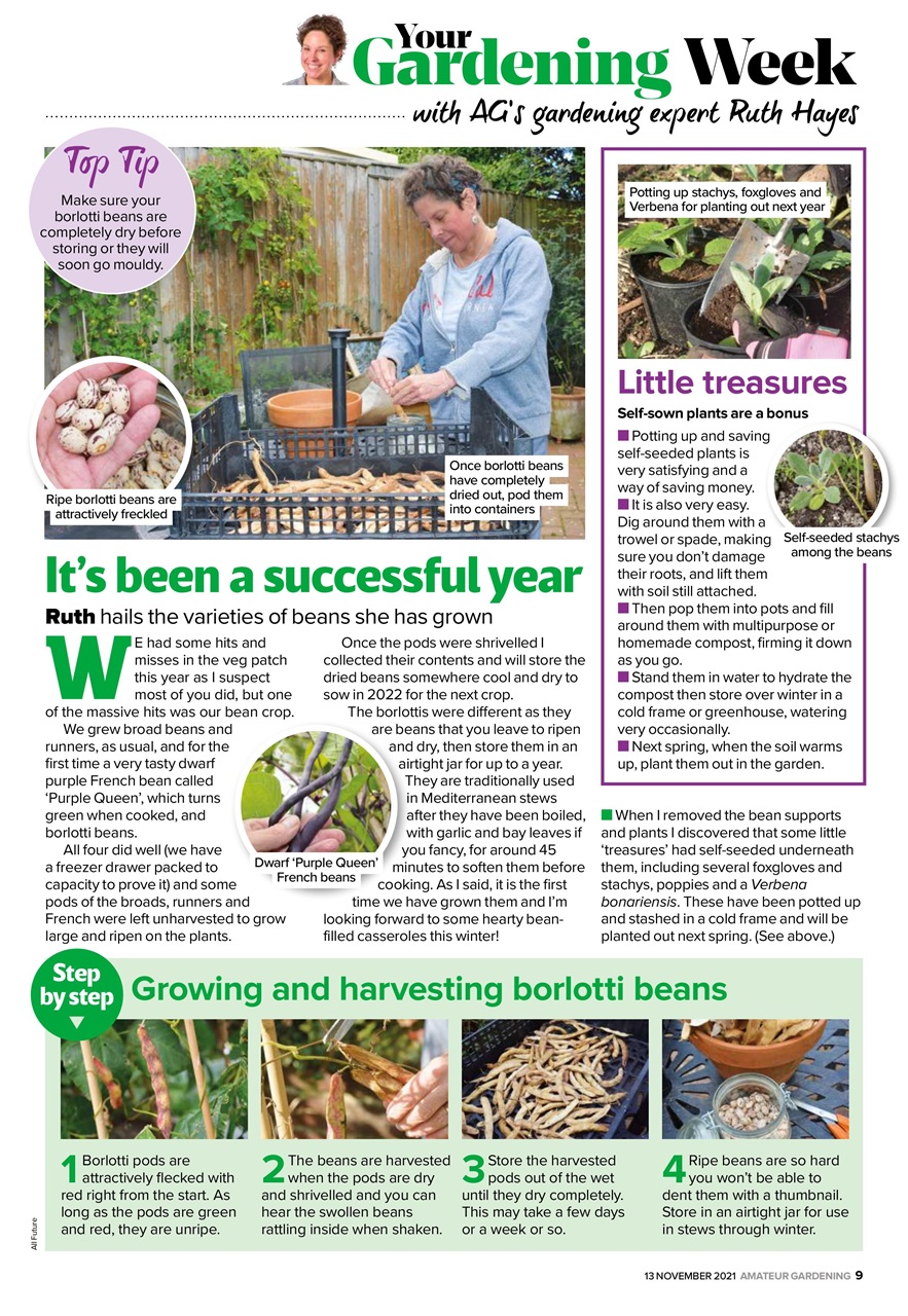 Amateur Gardening Preview Pages