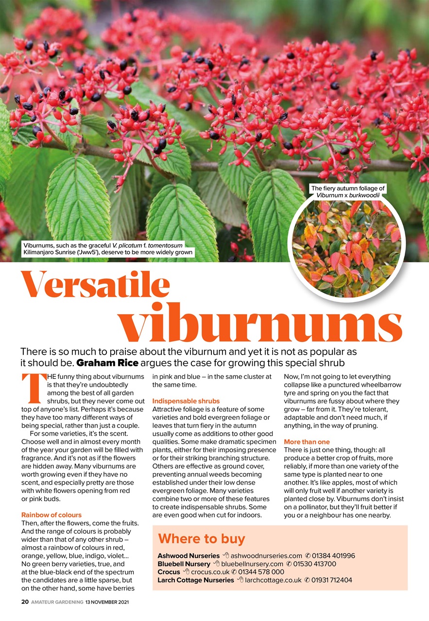 Amateur Gardening Preview Pages