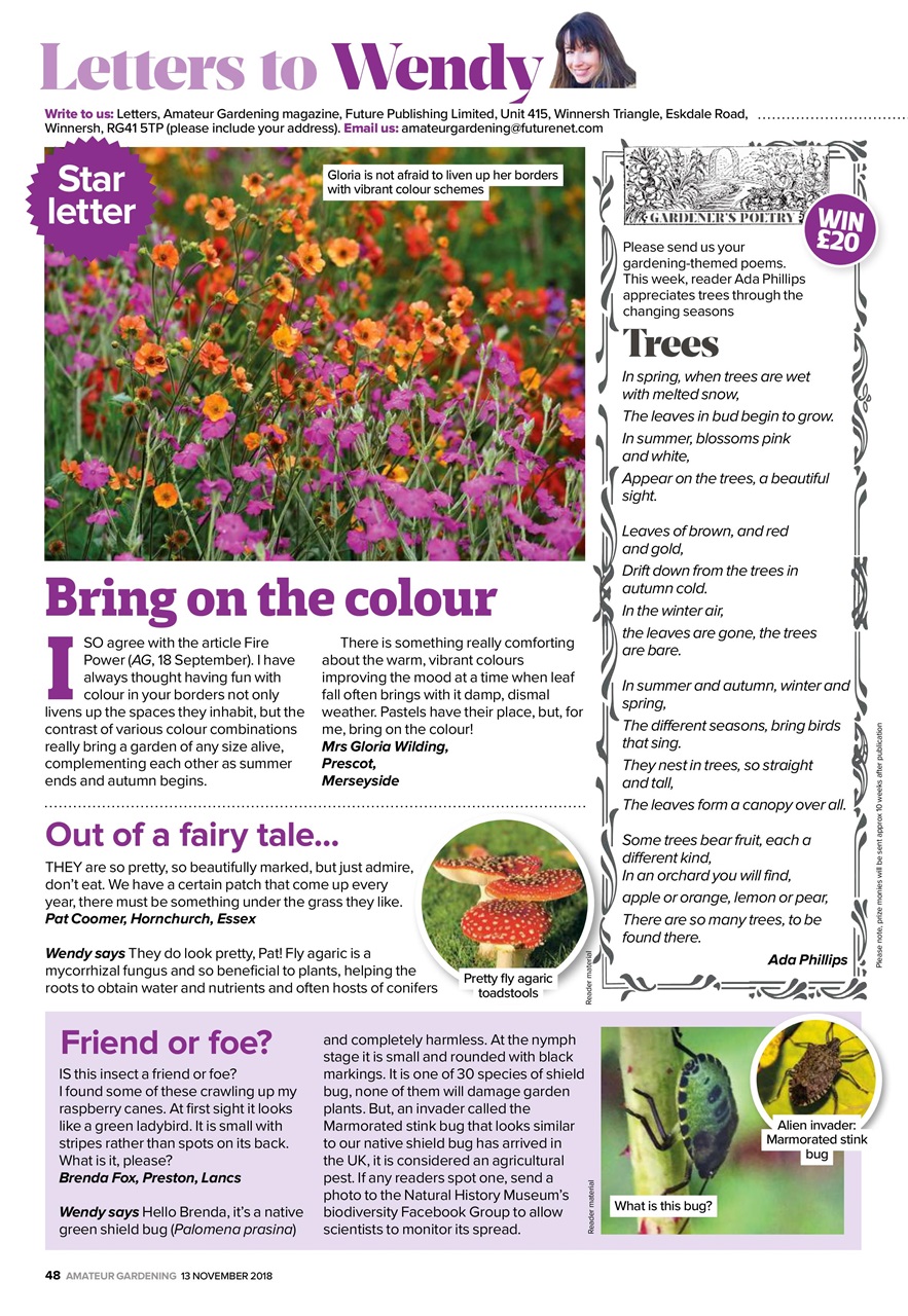 Amateur Gardening Preview Pages