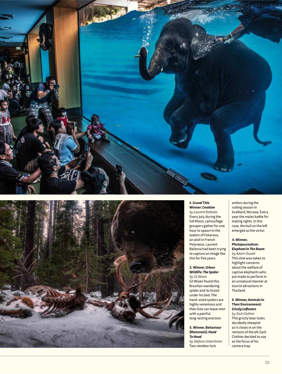 BBC Science Focus Magazine Preview Pages