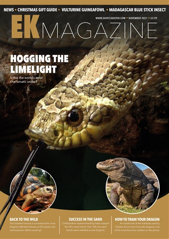 Exotics Keeper issue November 2021