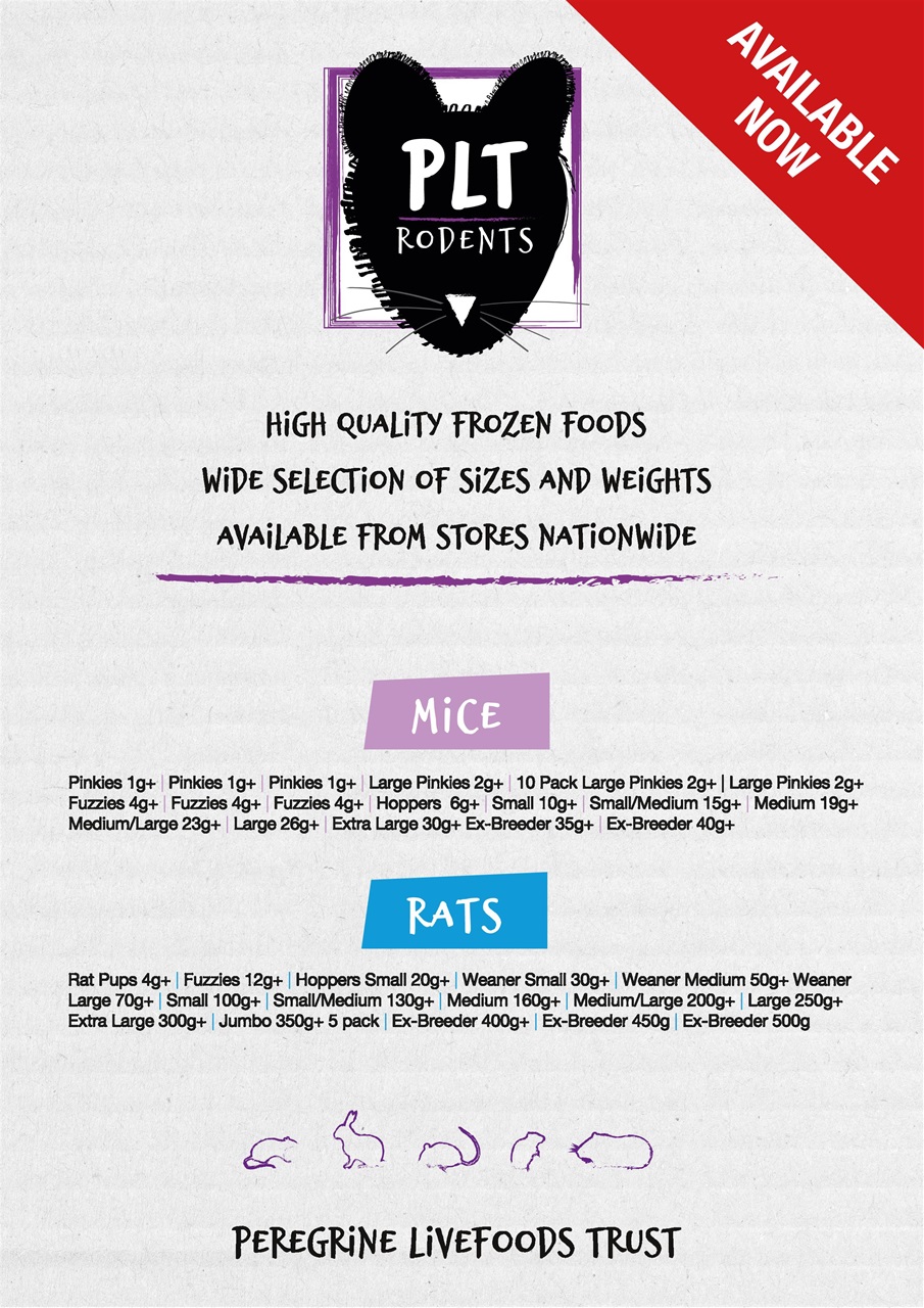 Exotics Keeper Preview Pages