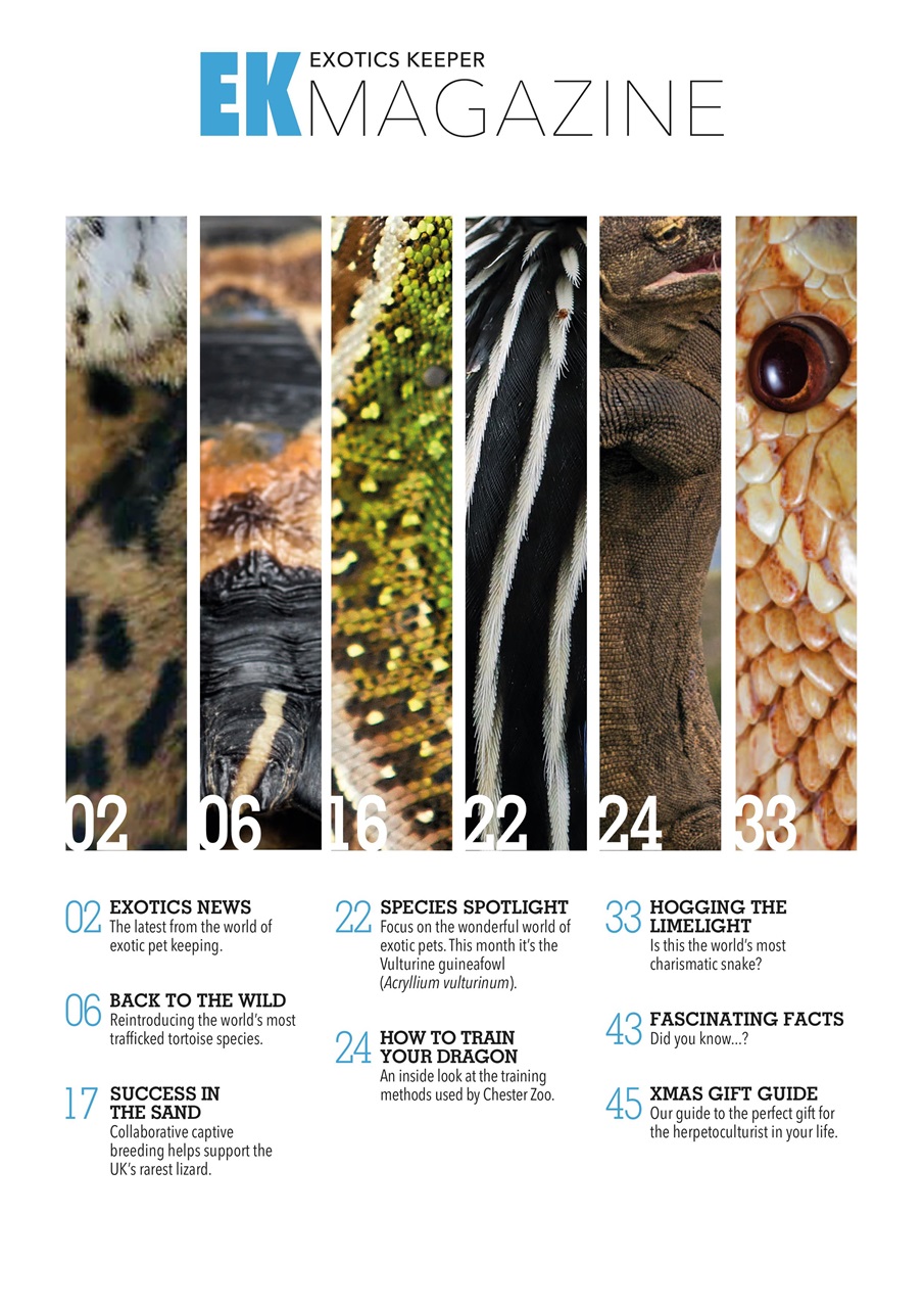 Exotics Keeper Preview Pages