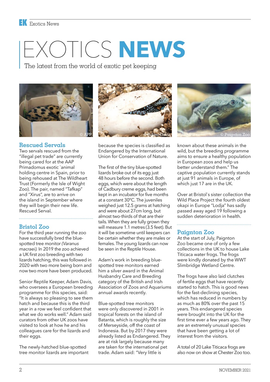 Exotics Keeper Preview Pages