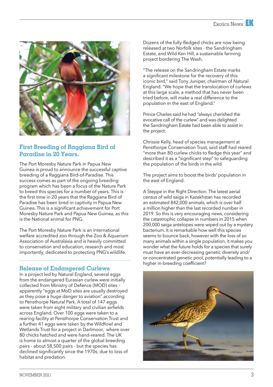 Exotics Keeper Preview Pages