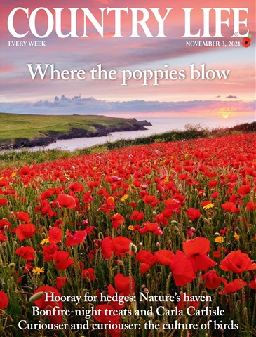 Country Life issue 03-Nov-2021