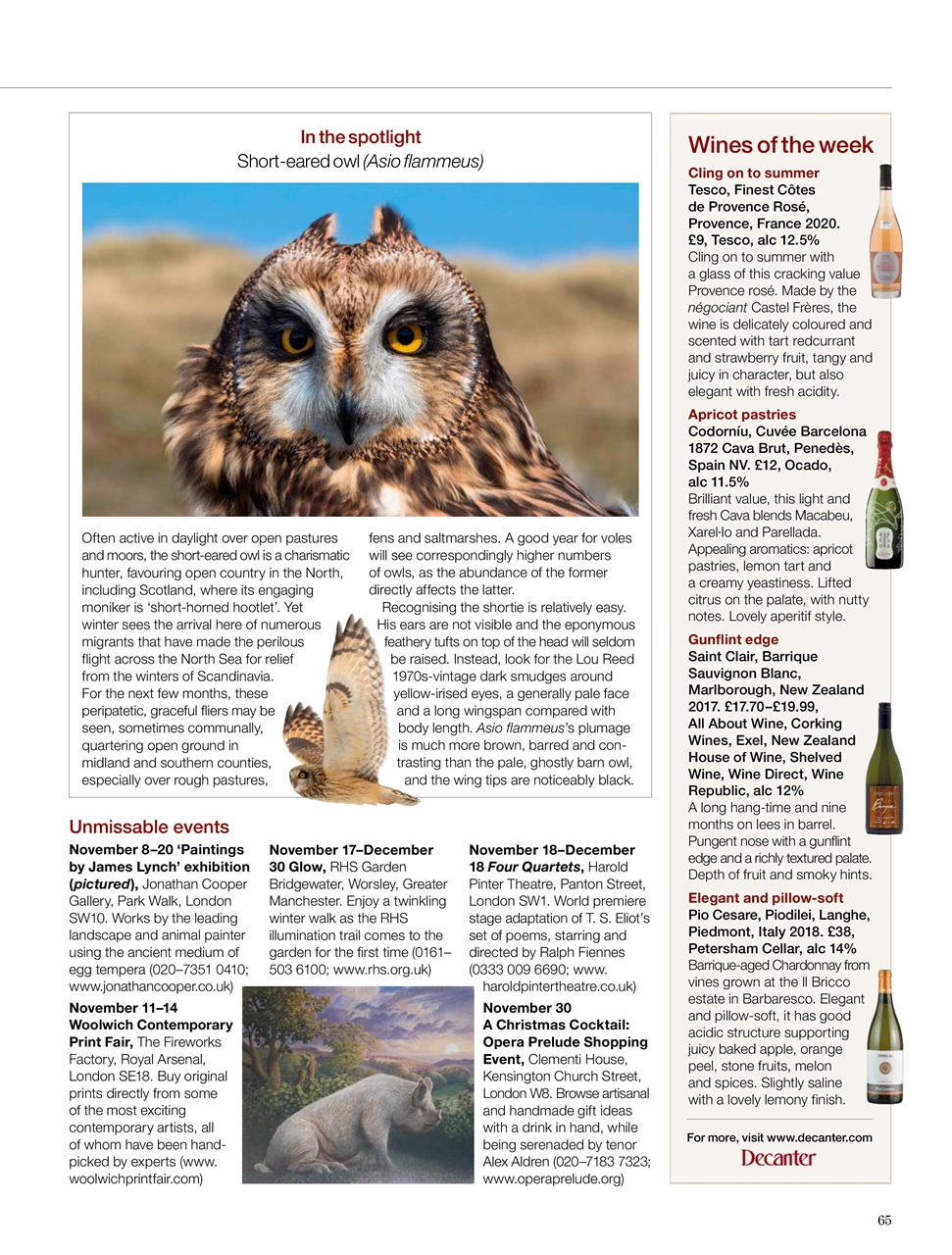 Country Life Preview Pages