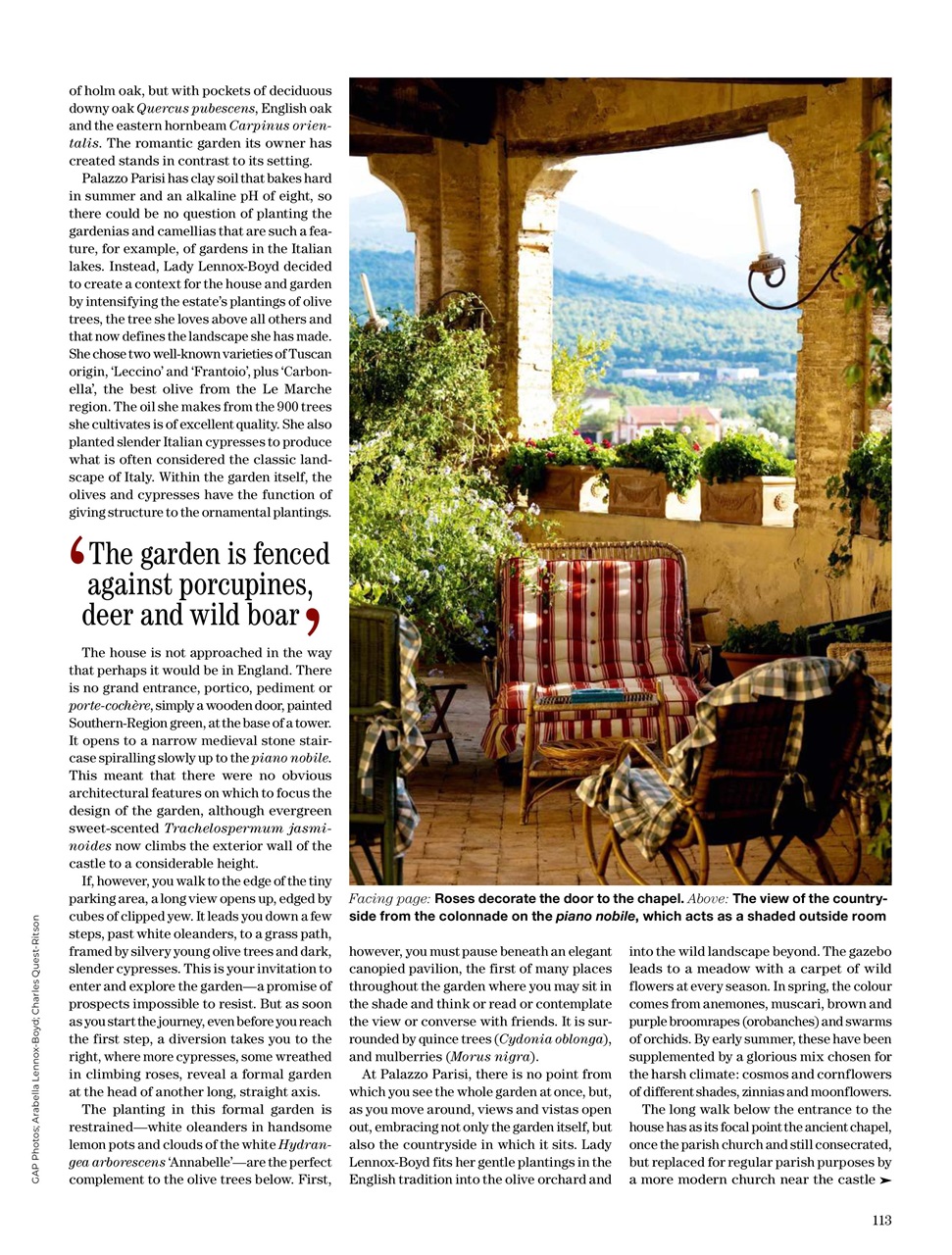 Country Life Preview Pages