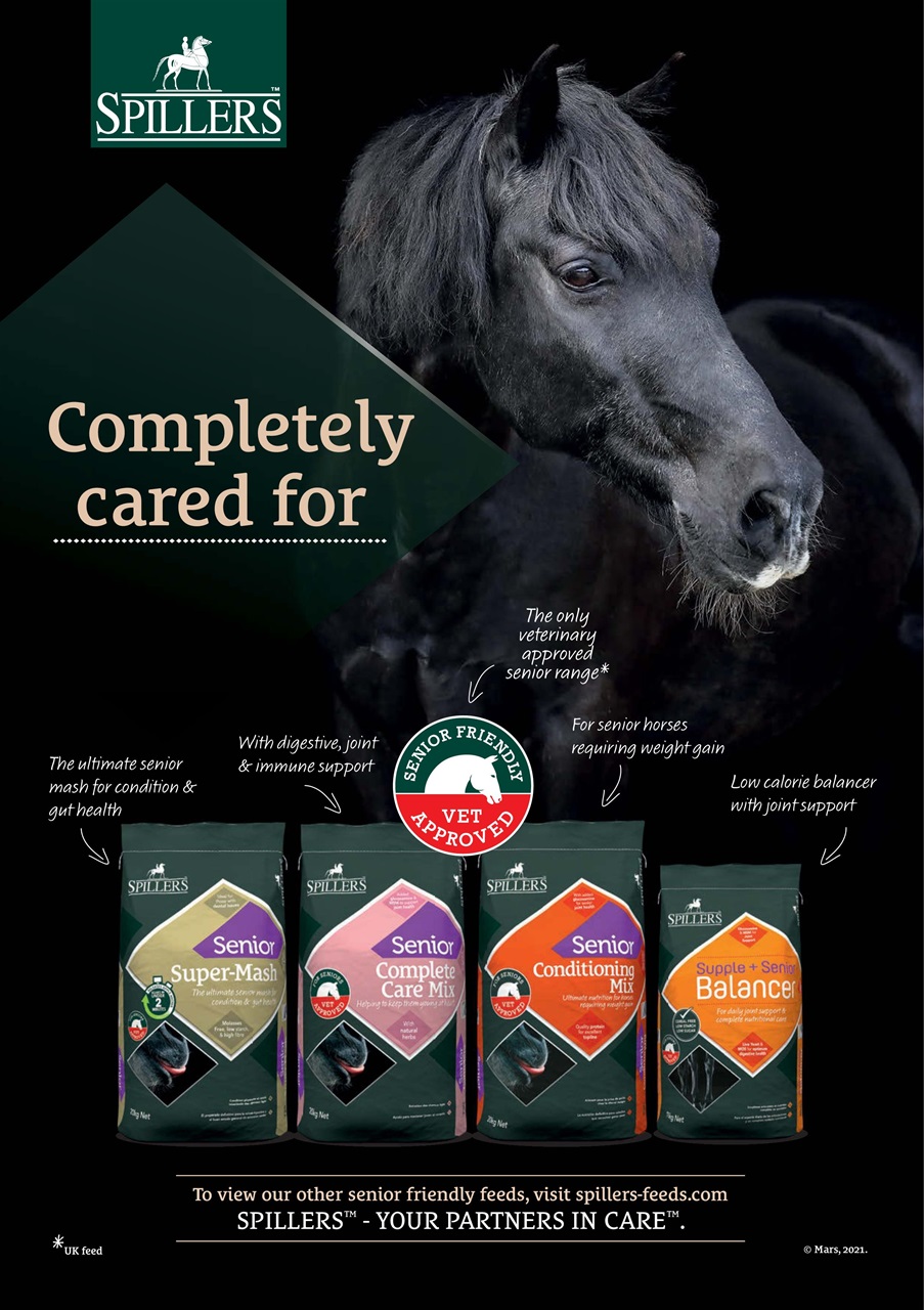 Your Horse Preview Pages