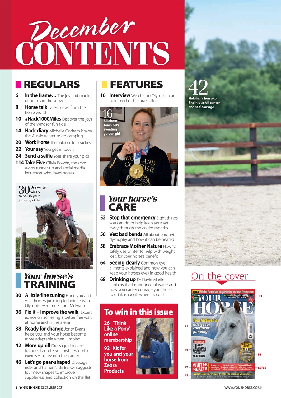 Your Horse Preview Pages