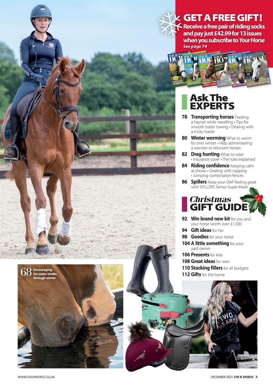 Your Horse Preview Pages