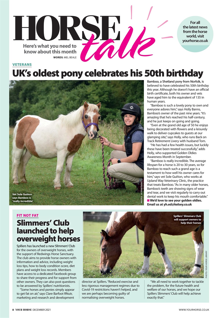 Your Horse Preview Pages