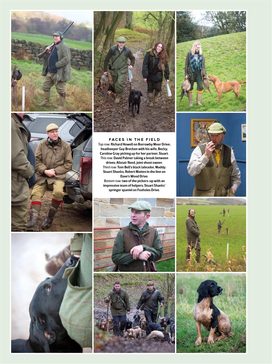 The Field Preview Pages