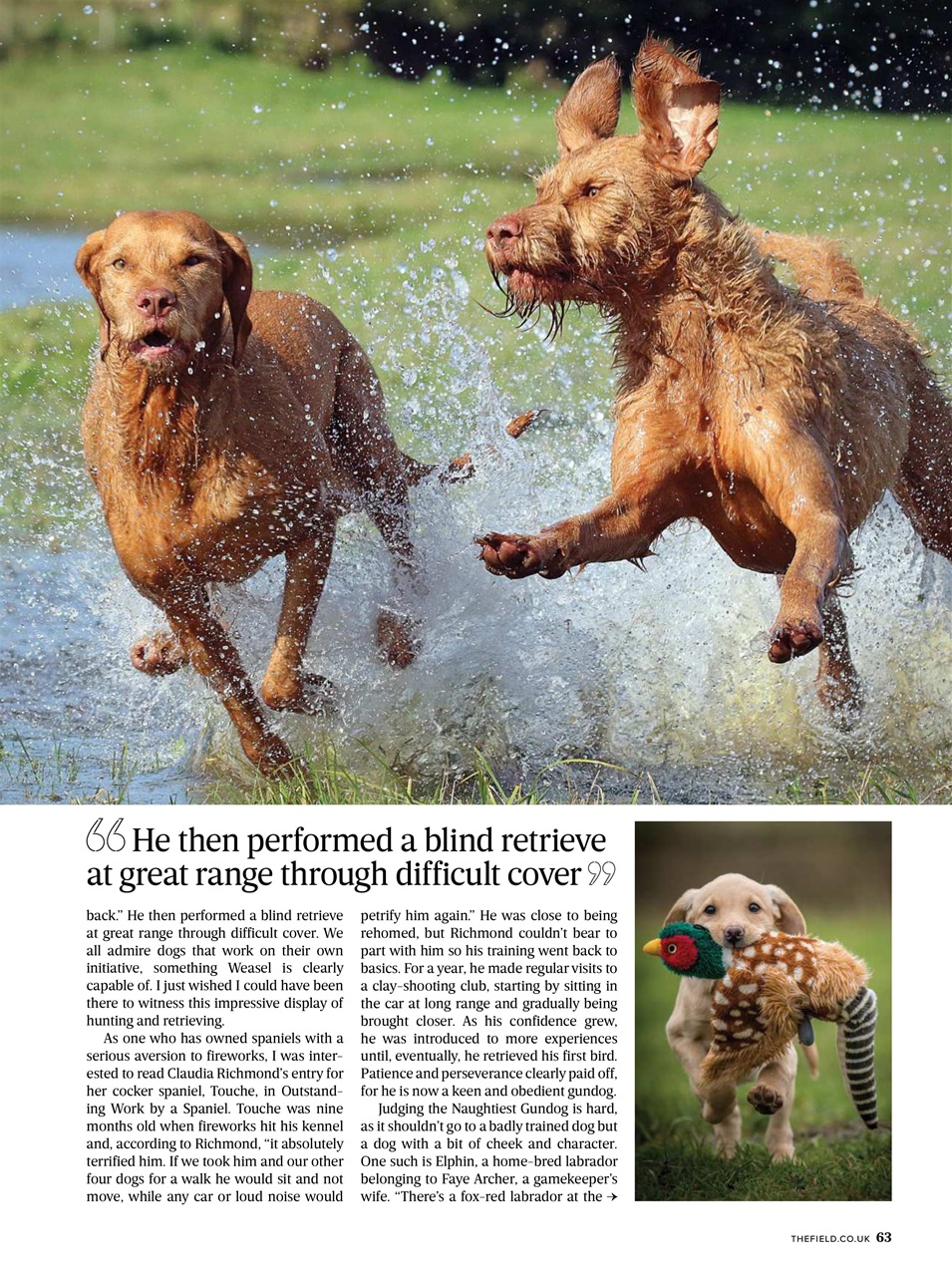 The Field Preview Pages