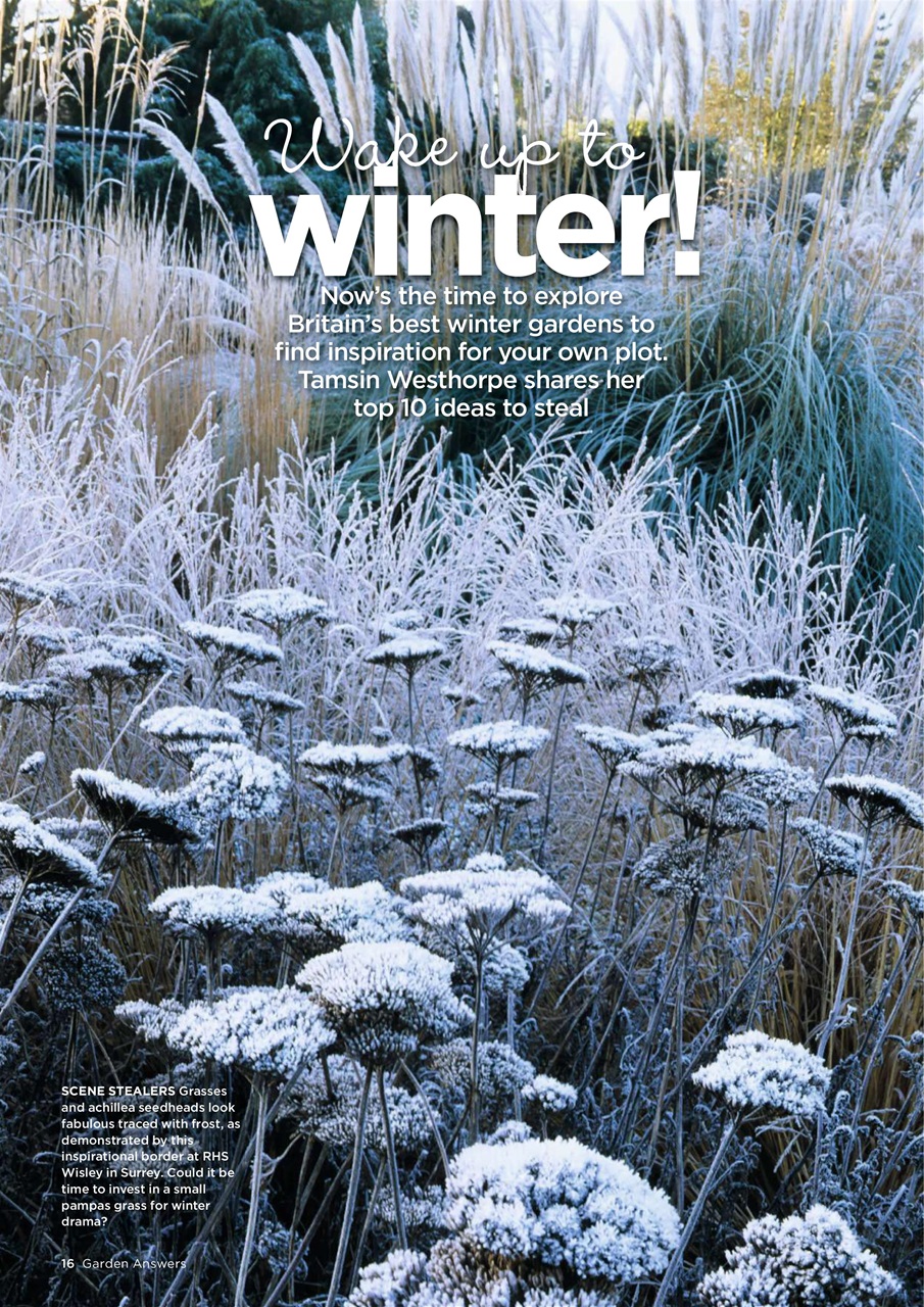 Garden Answers Preview Pages