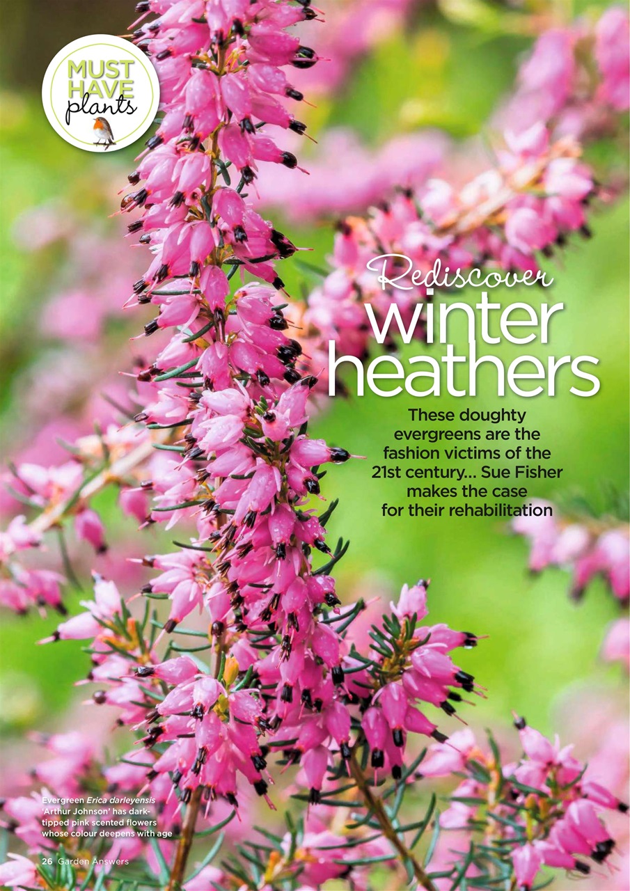 Garden Answers Preview Pages