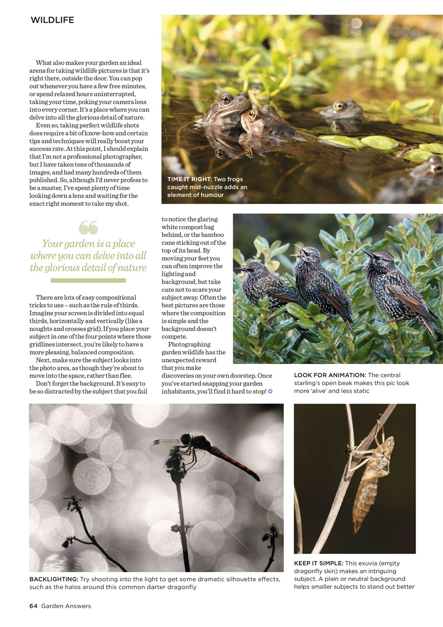 Garden Answers Preview Pages