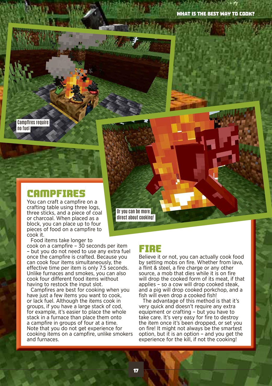 Minecraft World Preview Pages