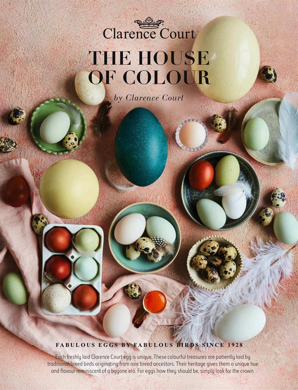 Easy Cook Magazine Preview Pages