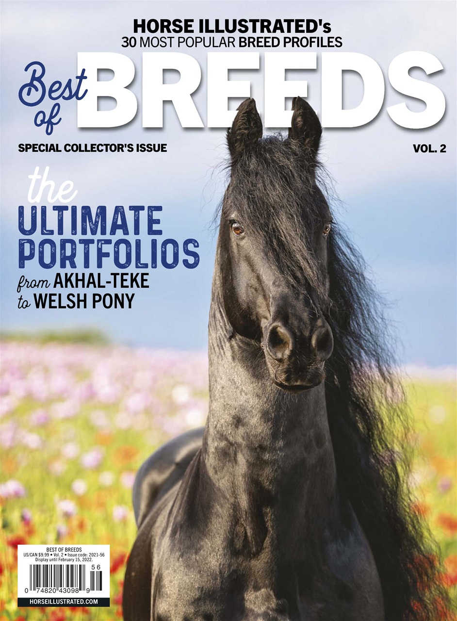 Horse Illustrated Magazine Preview Pages