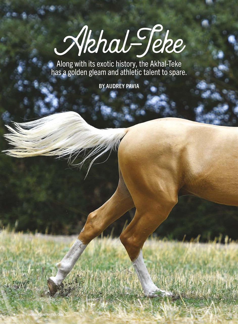 Horse Illustrated Magazine Preview Pages