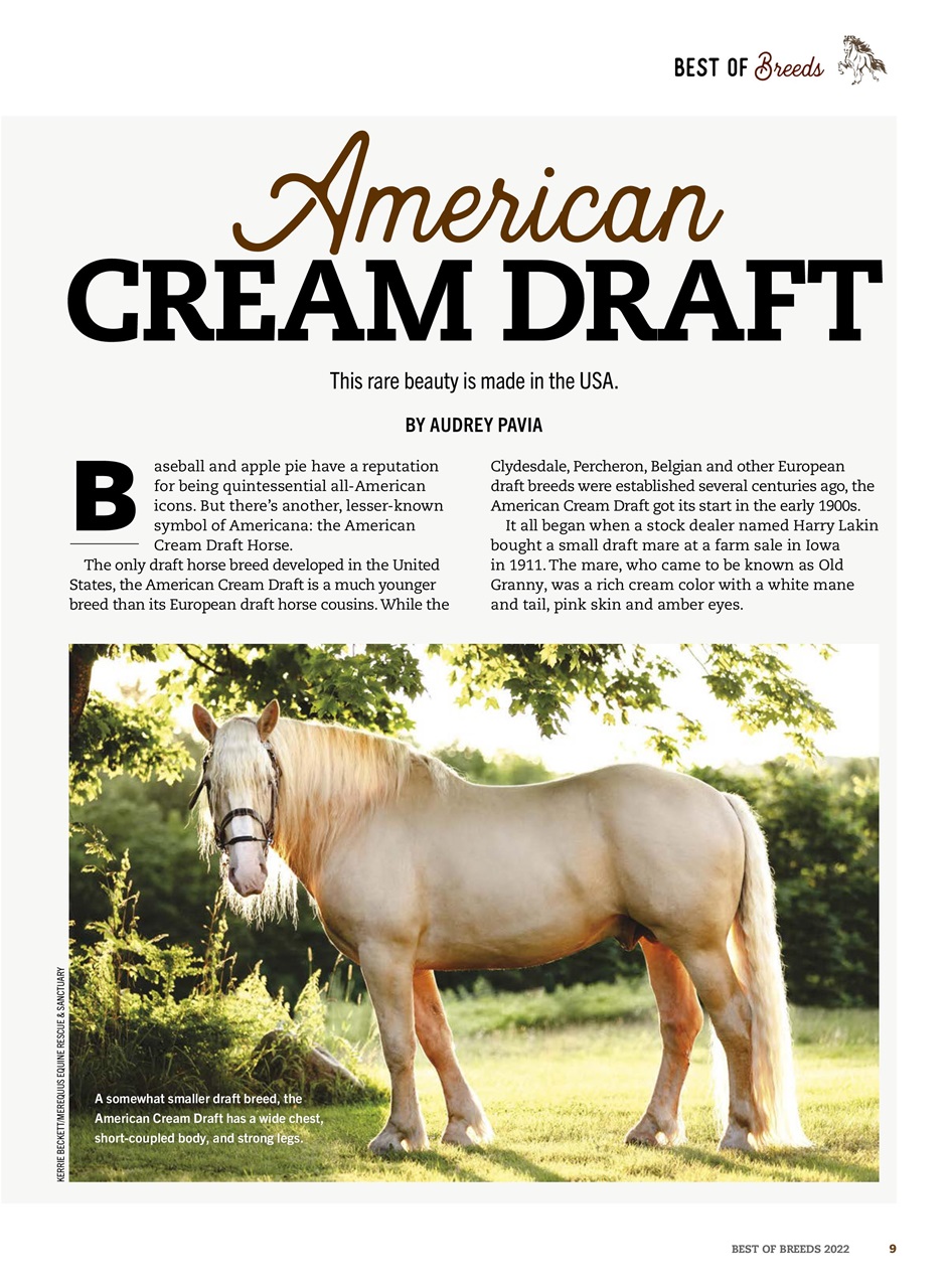 Horse Illustrated Magazine Preview Pages