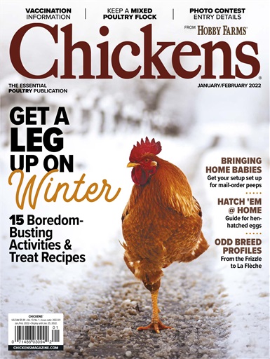 Chickens Magazine issue 
