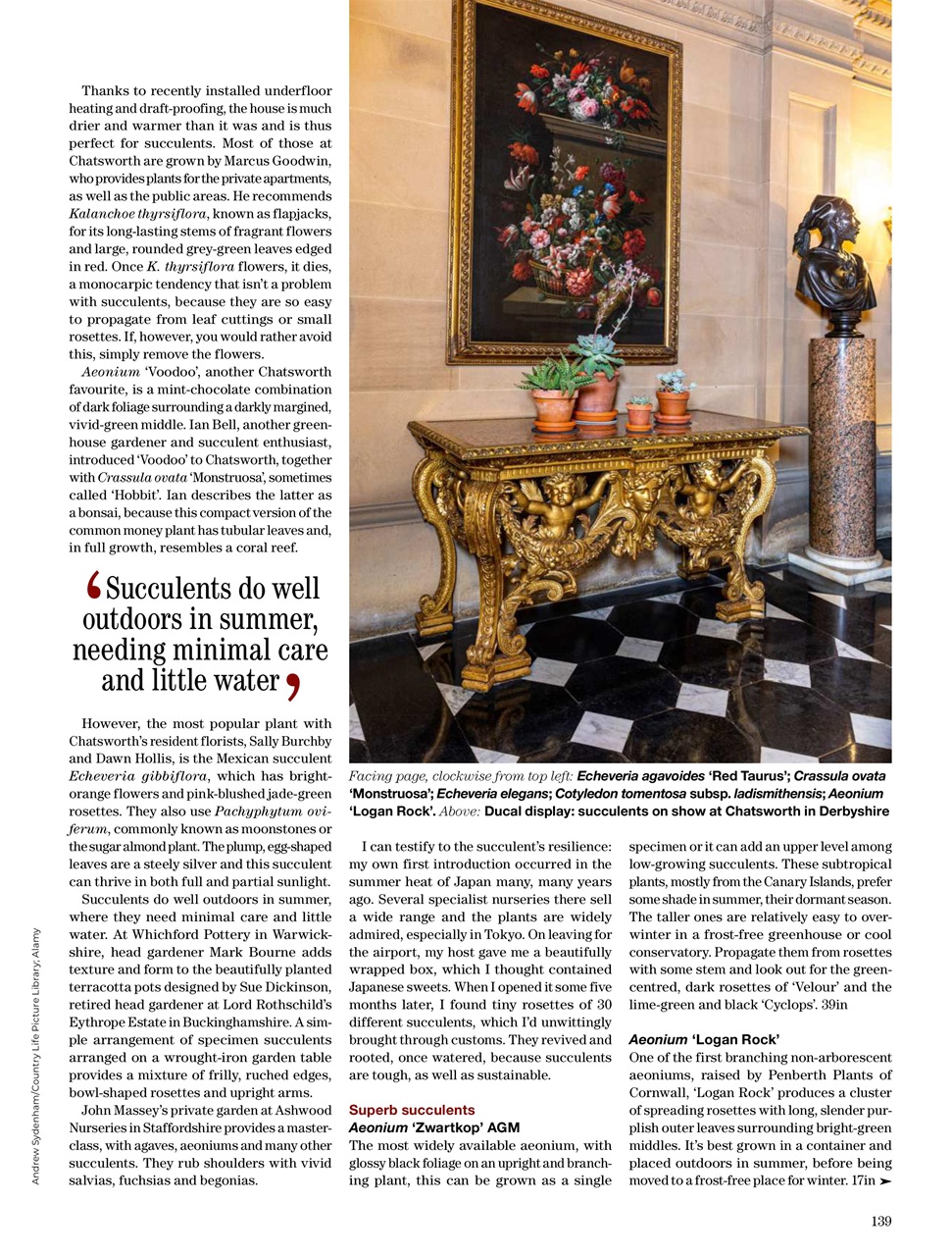 Country Life Preview Pages