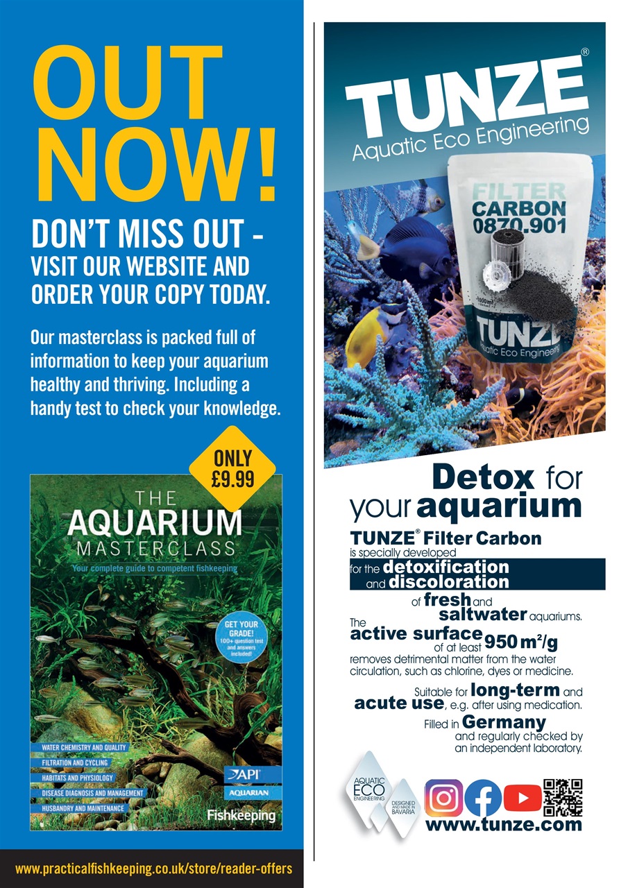 Practical Fishkeeping Preview Pages