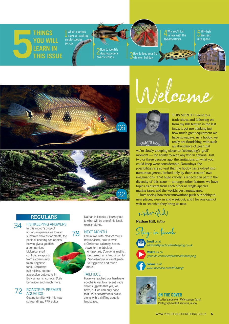 Practical Fishkeeping Preview Pages