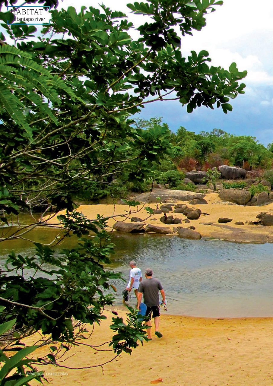 Practical Fishkeeping Preview Pages