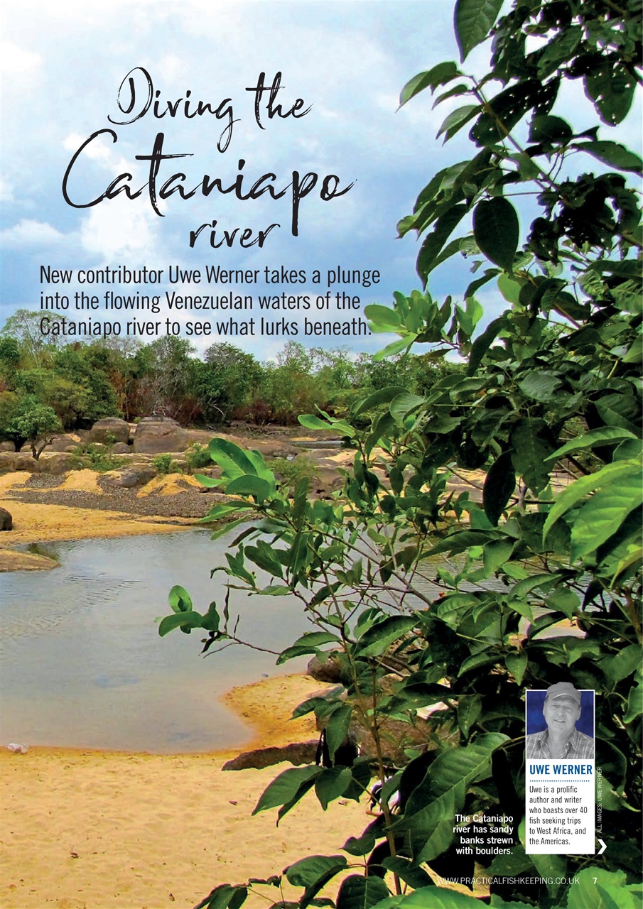 Practical Fishkeeping Preview Pages