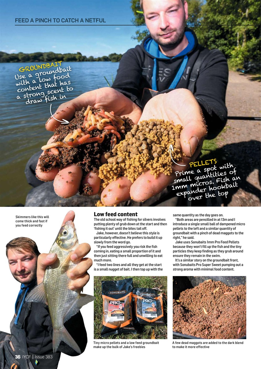Improve Your Coarse Fishing Preview Pages