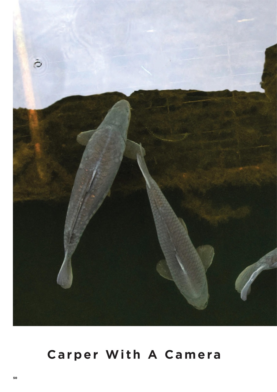 CARPology Magazine Preview Pages
