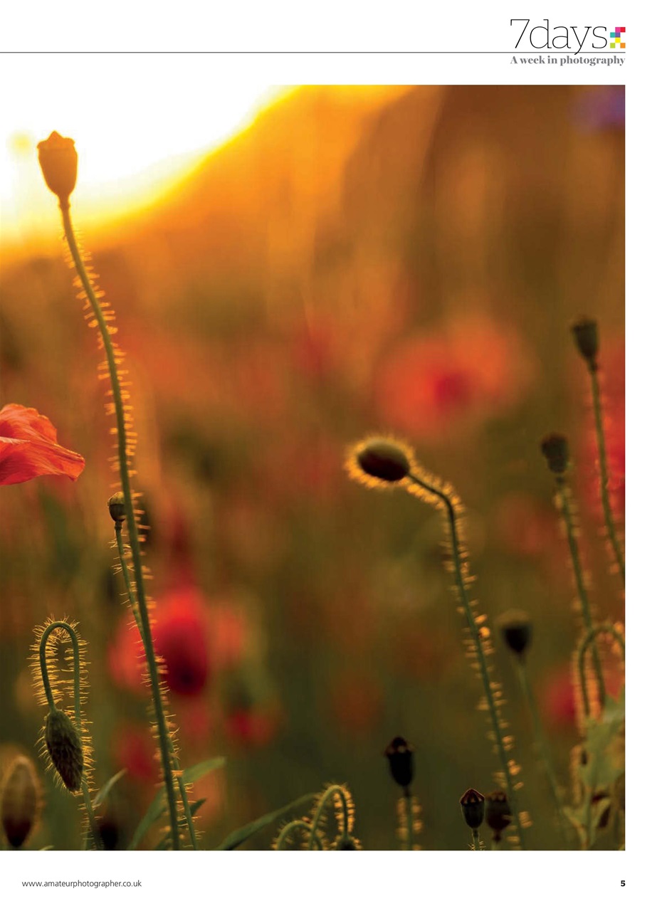 Amateur Photographer Preview Pages