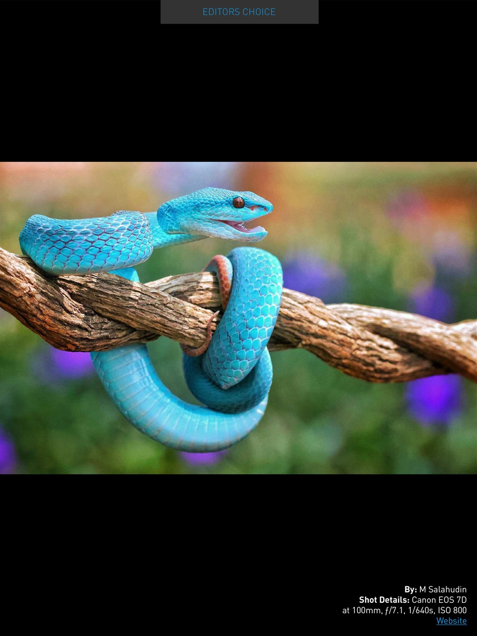 Photography Masterclass Magazine Preview Pages