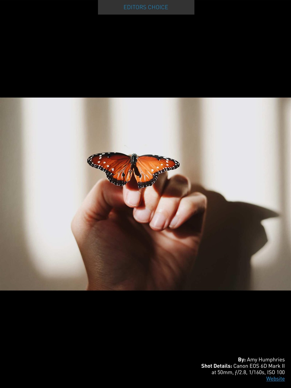 Photography Masterclass Magazine Preview Pages