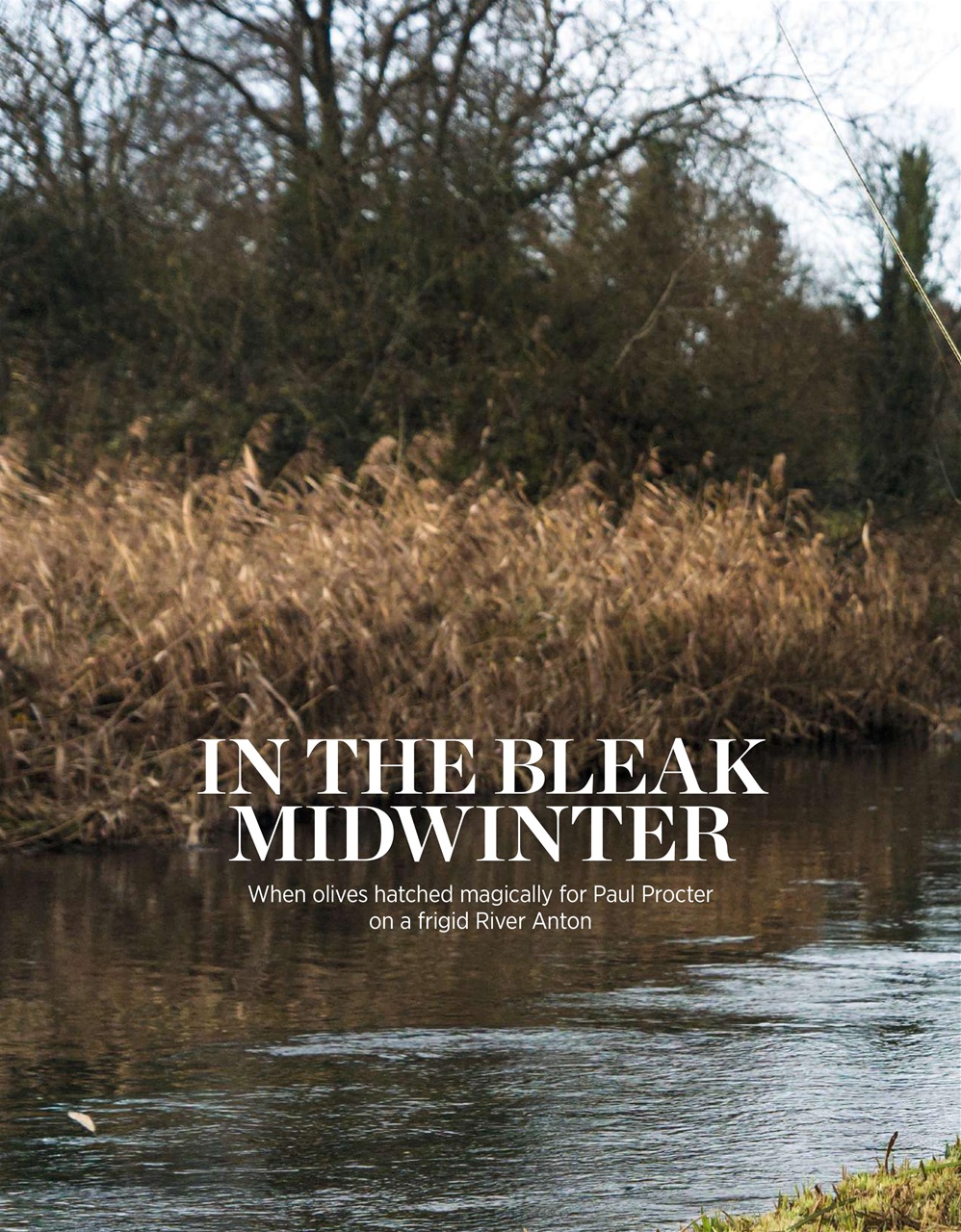 Trout & Salmon Preview Pages